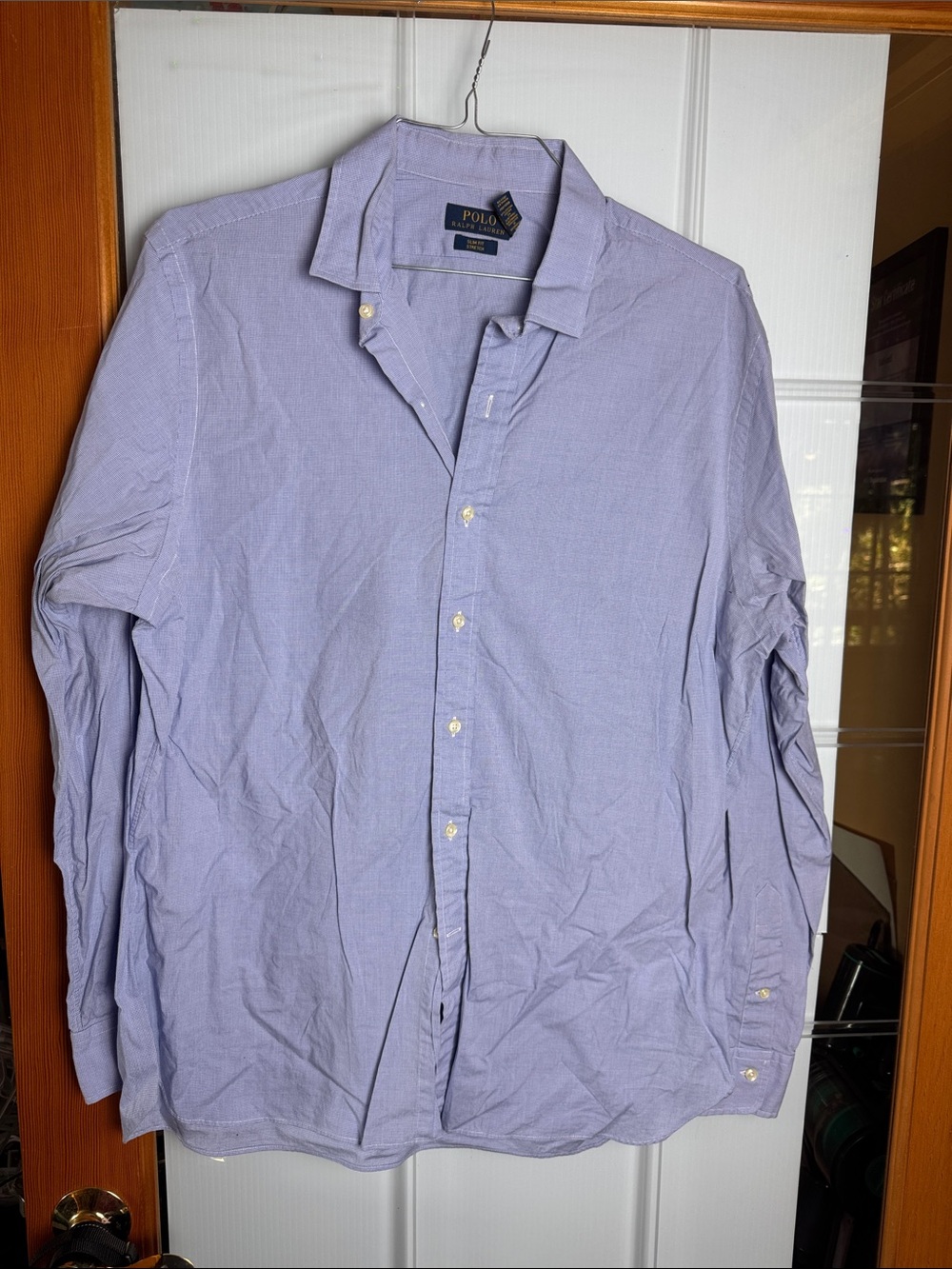 Polo by Ralph Lauren Lavender Long-Sleeve Button-Down Dress Shirt